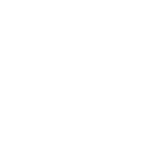 Custom Website Development
